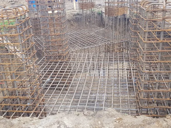 Proiect Leo Excavari (11)