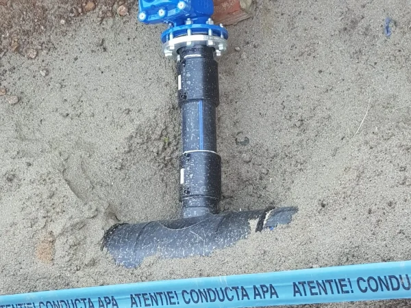 Proiect Leo Excavari (3)